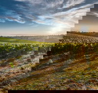 Perth to Margaret River Wine Tour - 2 Day Premium Boutique Wine Tour Experience - Accommodation Directory
