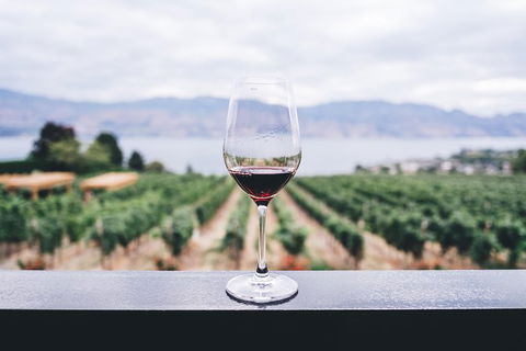 Full-Day Gourmet Wine Tour With Pick Up And Lunch - Accommodation Directory 1
