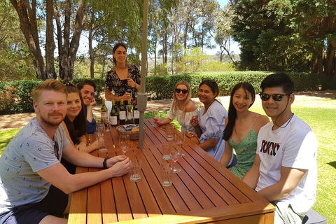Full-Day Gourmet Wine Tour With Pick Up And Lunch - Accommodation Directory 5