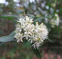 Booderee National Park - Accommodation Directory