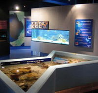 Marine and Freshwater Discovery Centre - Accommodation Directory