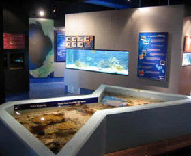 Marine And Freshwater Discovery Centre - Accommodation Directory 0
