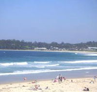 Mollymook Surf Beach - Accommodation Directory