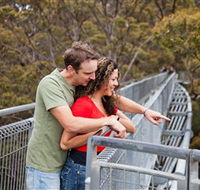 Valley of the Giants Tree Top Walk - Accommodation Directory