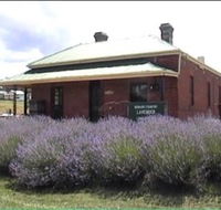 Lavender House in Railway Park - Accommodation Directory