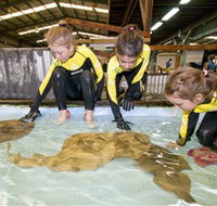 Australian Shark and Ray Centre - Accommodation Directory