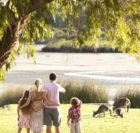 Yanchep National Park - Bushwalking Trails - Accommodation Directory