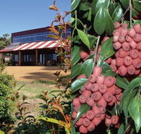 Bushfood Factory and Cafe - Accommodation Directory