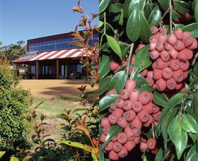 Bushfood Factory And Cafe - Accommodation Directory 0