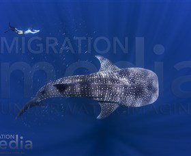 Migration Media - Accommodation Directory 0