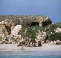 Jurien Bay Marine Park - Accommodation Directory