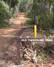 Kojaneerup South WA Accommodation Directory