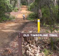 Old Timberline and Sidings Rail Trails - Accommodation Directory