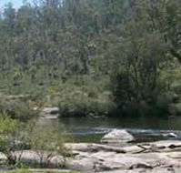Wellington Discovery Forest - Accommodation Directory