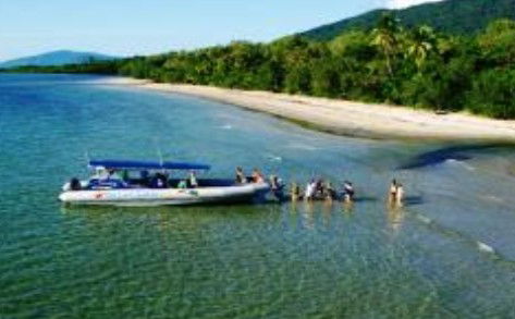 Ocean Safari - Accommodation Directory 0