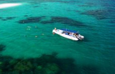 Ocean Safari - Accommodation Directory 1