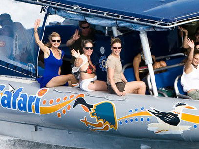 Ocean Safari - Accommodation Directory 3
