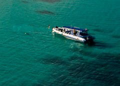 Ocean Safari - Accommodation Directory 5