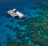 Great Adventures Reef and Green Island Cruises - Accommodation Directory