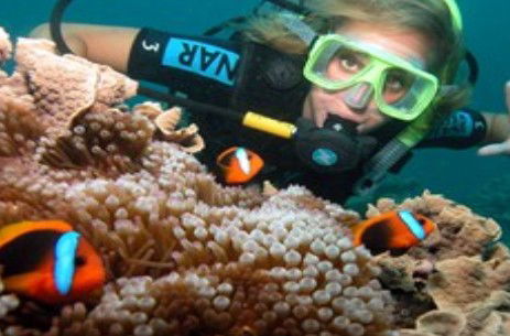 Ocean Spirit Cruises - Accommodation Directory 1