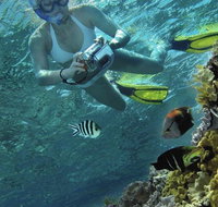 Calypso Reef Charters - Accommodation Directory