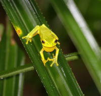Daintree River Cruise Centre - Accommodation Directory
