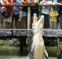 Hartley's Crocodile Adventures - Accommodation Directory