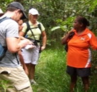 Ingan Tours - Spirit of the Rainforest Tour - Accommodation Directory