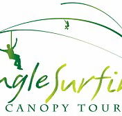 Jungle Surfing Canopy Tours and Jungle Adventures Nightwalks - Accommodation Directory