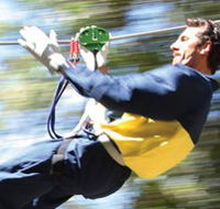 Adventure Parc - Accommodation Directory