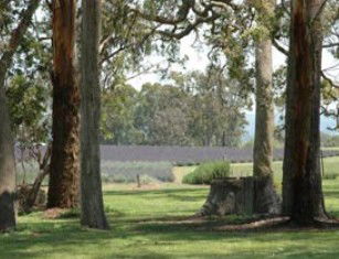 Stanthorpe QLD Accommodation Directory