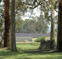 Aloomba Lavender - Accommodation Directory