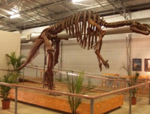 Winton QLD Accommodation Directory