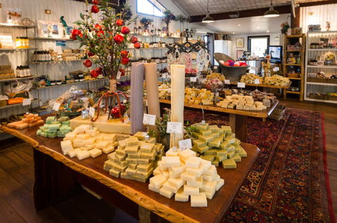 Vasse Virgin - Accommodation Directory 3