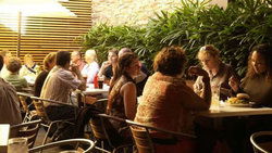Camperdown NSW Accommodation Directory