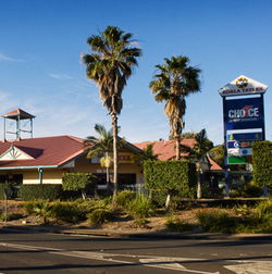 Koala Tavern - Accommodation Directory 0