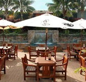 Mona Vale Hotel - Accommodation Directory