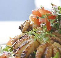 Nicks Bar and Grill - Accommodation Directory