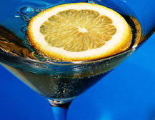 Findon Hotel - Accommodation Directory 2