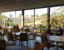 Inglewood Inn - Accommodation Directory 1