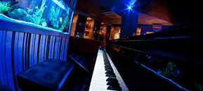 Saks Restaurant & Bar - Accommodation Directory 2