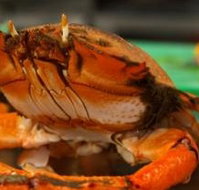 River Cottage Restaurant - Accommodation Directory