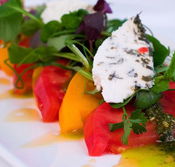 East End Hotel - Accommodation Directory