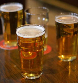 The Logan Pub - Accommodation Directory 2