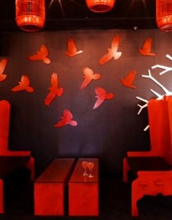 Soho Bar And Lounge - Accommodation Directory 0