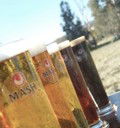 Mash Brewery - Bunbury - Accommodation Directory 2