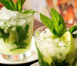 Coco Cubano - Darlinghurst - Accommodation Directory 2