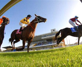 Wyong Race Club - Accommodation Directory 0