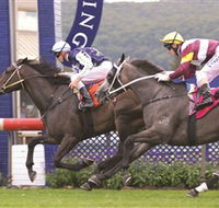 Gosford Race Club - Accommodation Directory