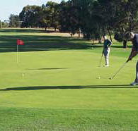 Waikerie Golf Club - Accommodation Directory